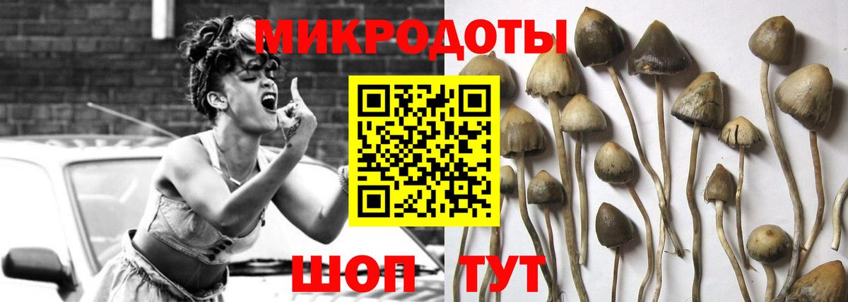 Галлюциногенные грибы MAGIC MUSHROOMS Аша
